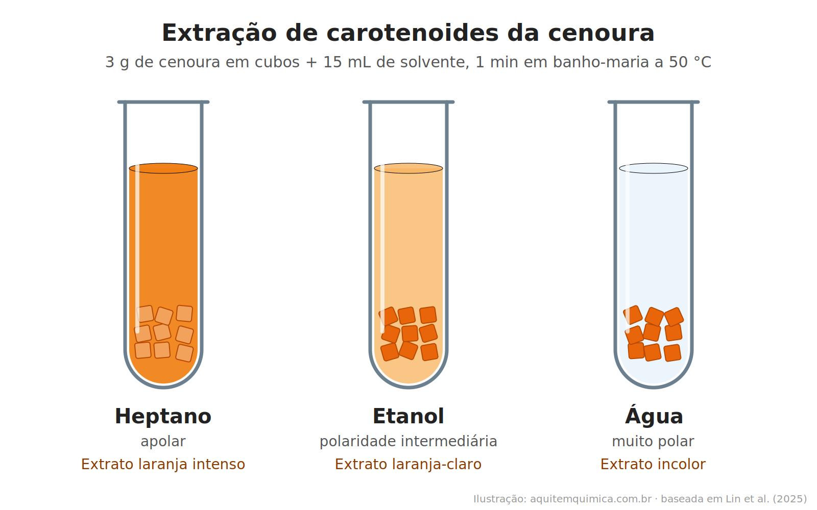 Cenoura nos tubos de ensaio: polaridade e solubilidade na extração com heptano, etanol e água